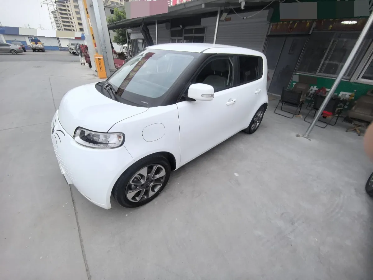 2020 Ora WhiteCat BEV 29.4KWH,autocango,china used car exporter,china ev exporter,chinese used car exporter,chinese used ev exporter