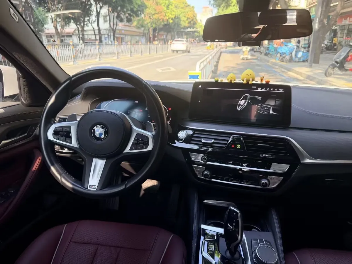 2021 BMW 5 Series 2.0T 252HP L4 8AT,autocango,china used car exporter,china ev exporter,chinese used car exporter,chinese used ev exporter