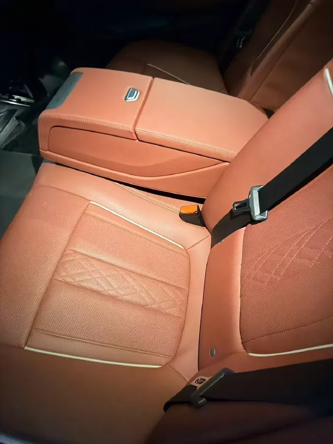 2021 BMW 5 Series 2.0T 252HP L4 8AT,autocango,china used car exporter,china ev exporter,chinese used car exporter,chinese used ev exporter