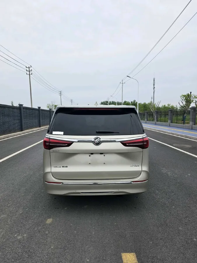 2020 Buick GL8 2.0T 237HP L4 9AT,autocango,china used car exporter,china ev exporter,chinese used car exporter,chinese used ev exporter