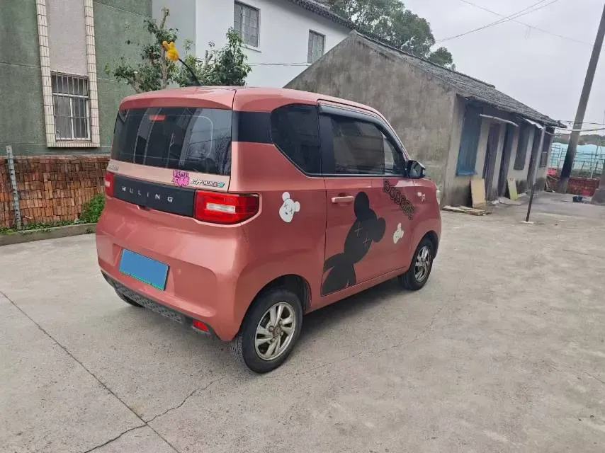 2021 WuLing HongGuang MINI EV BEV 13.8KWH,autocango,china used car exporter,china ev exporter,chinese used car exporter,chinese used ev exporter