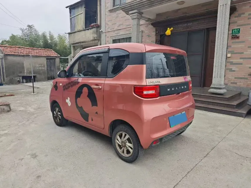 2021 WuLing HongGuang MINI EV BEV 13.8KWH,autocango,china used car exporter,china ev exporter,chinese used car exporter,chinese used ev exporter