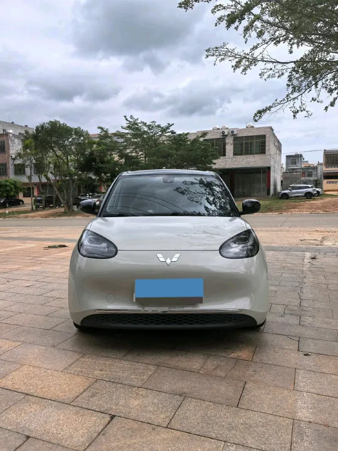 2023 WuLing BinGuo BEV 31.9KWH,autocango,china used car exporter,china ev exporter,chinese used car exporter,chinese used ev exporter