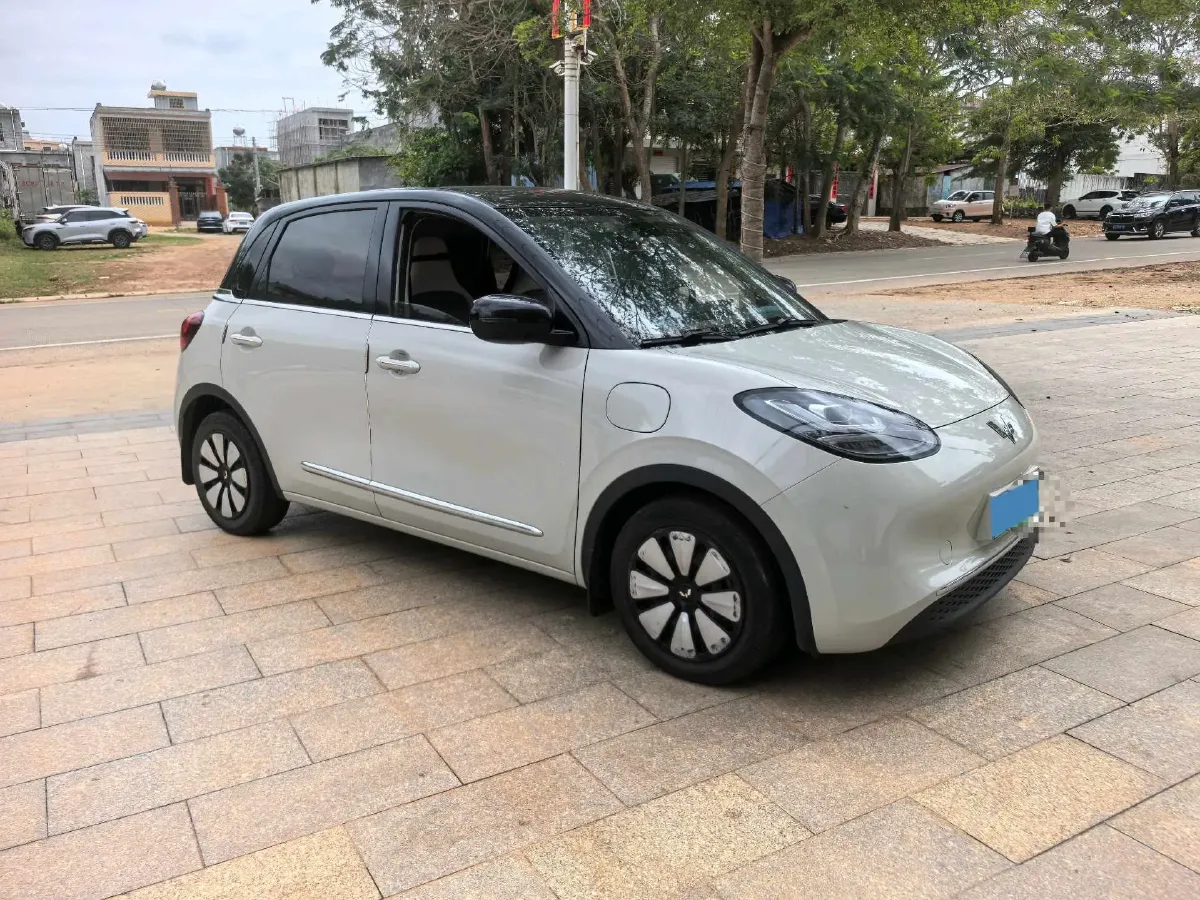 2023 WuLing BinGuo BEV 31.9KWH,autocango,china used car exporter,china ev exporter,chinese used car exporter,chinese used ev exporter