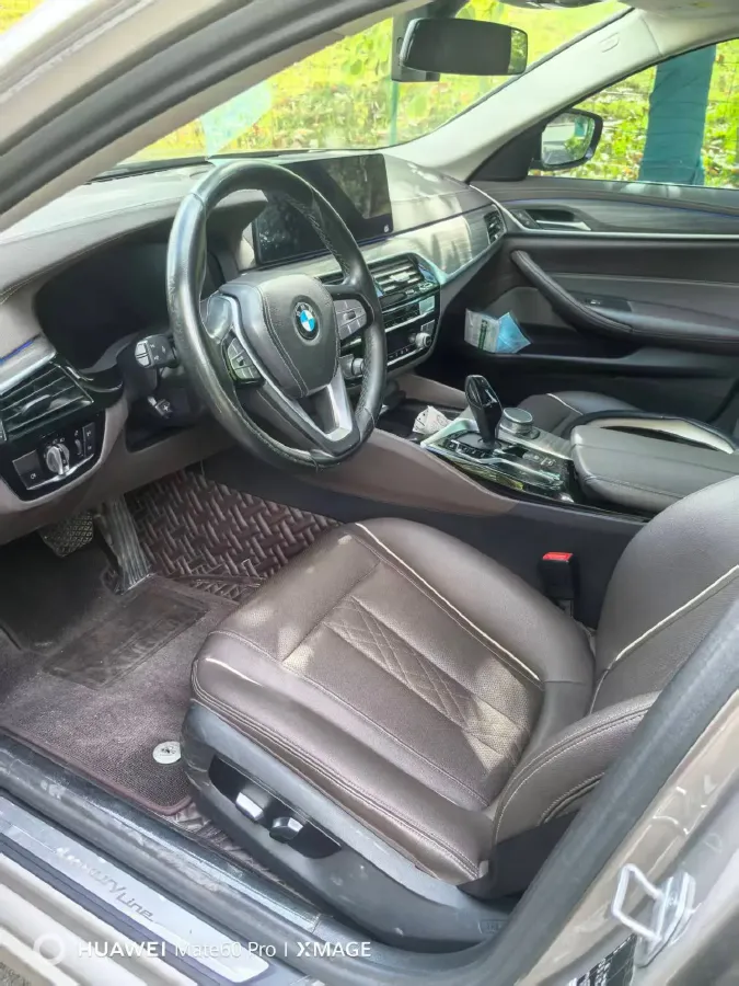 2021 BMW 5 Series 2.0T 252HP L4 8AT,autocango,china used car exporter,china ev exporter,chinese used car exporter,chinese used ev exporter
