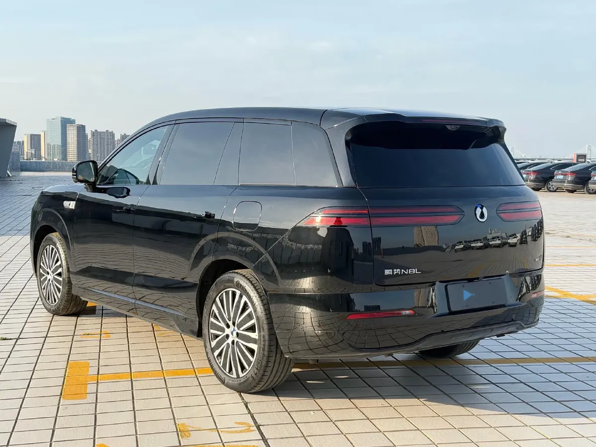 2025 Denza DenzaN8L 2.0T 207HP L4 E-CVT PHEV,autocango,china used car exporter,china ev exporter,chinese used car exporter,chinese used ev exporter