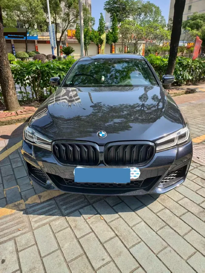 2022 BMW 5 Series 2.0T 252HP L4 8AT,autocango,china used car exporter,china ev exporter,chinese used car exporter,chinese used ev exporter