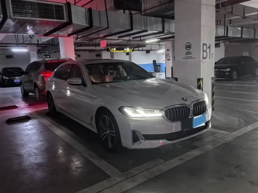 2021 BMW 5 Series 2.0T 252HP L4 8AT,autocango,china used car exporter,china ev exporter,chinese used car exporter,chinese used ev exporter