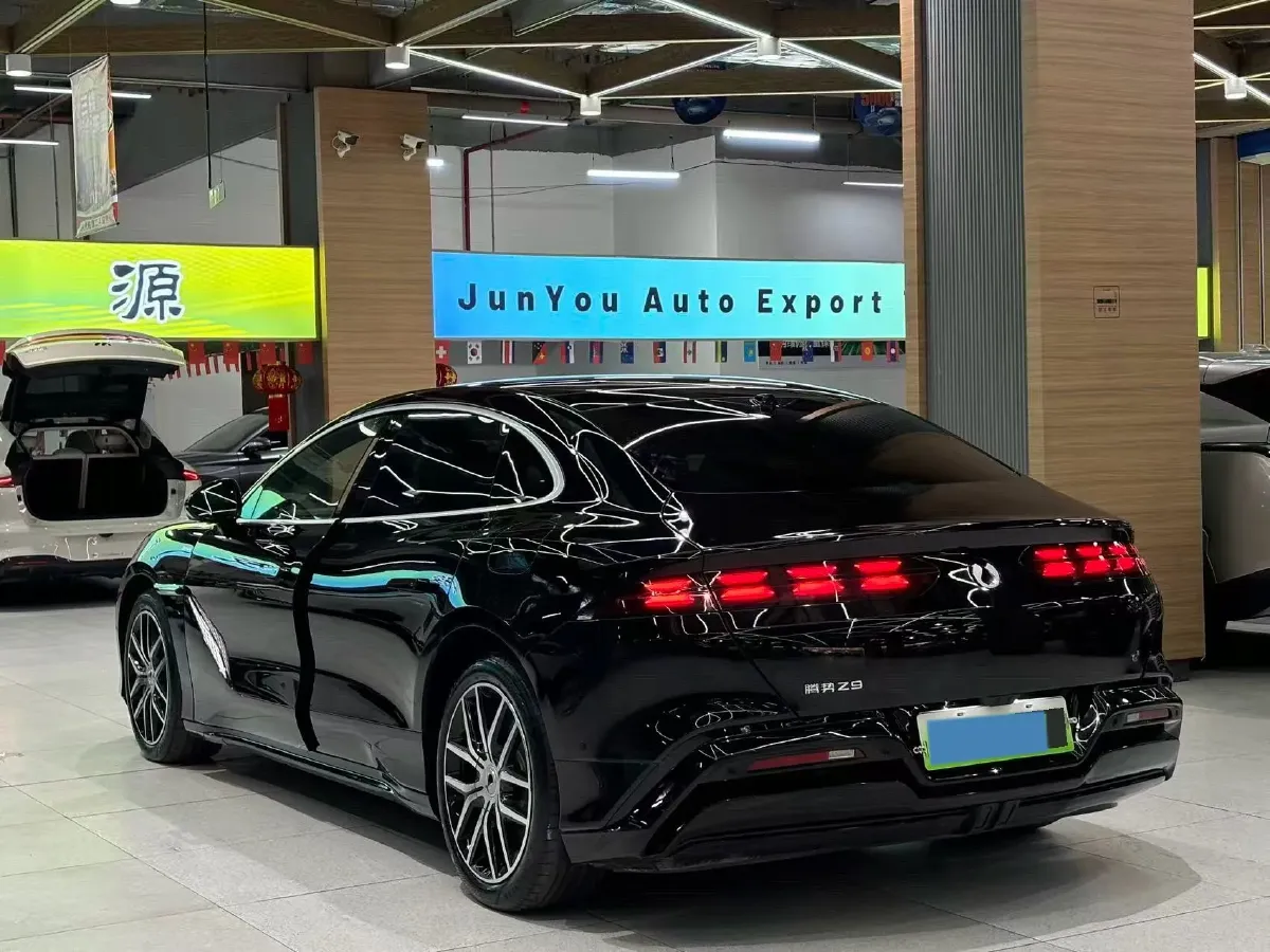 2024 Denza DenzaZ9 2.0T 207HP L4 E-CVT PHEV 38.5KWH,autocango,china used car exporter,china ev exporter,chinese used car exporter,chinese used ev exporter