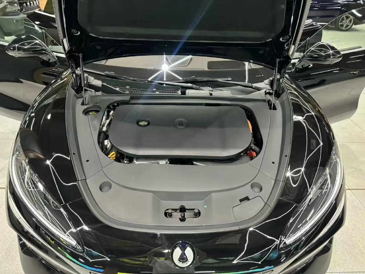 2024 Denza DenzaZ9 2.0T 207HP L4 E-CVT PHEV 38.5KWH,autocango,china used car exporter,china ev exporter,chinese used car exporter,chinese used ev exporter