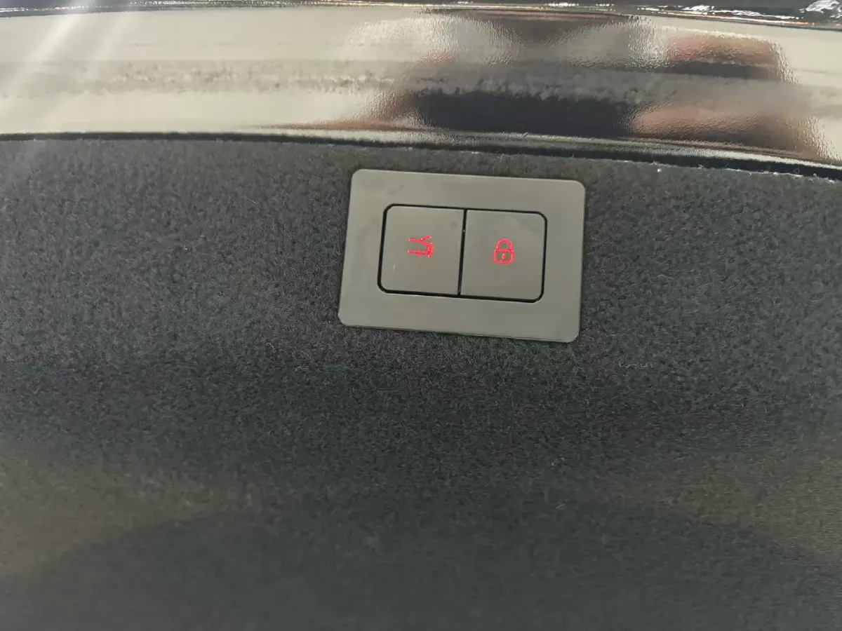 2024 Denza DenzaZ9 2.0T 207HP L4 E-CVT PHEV 38.5KWH,autocango,china used car exporter,china ev exporter,chinese used car exporter,chinese used ev exporter