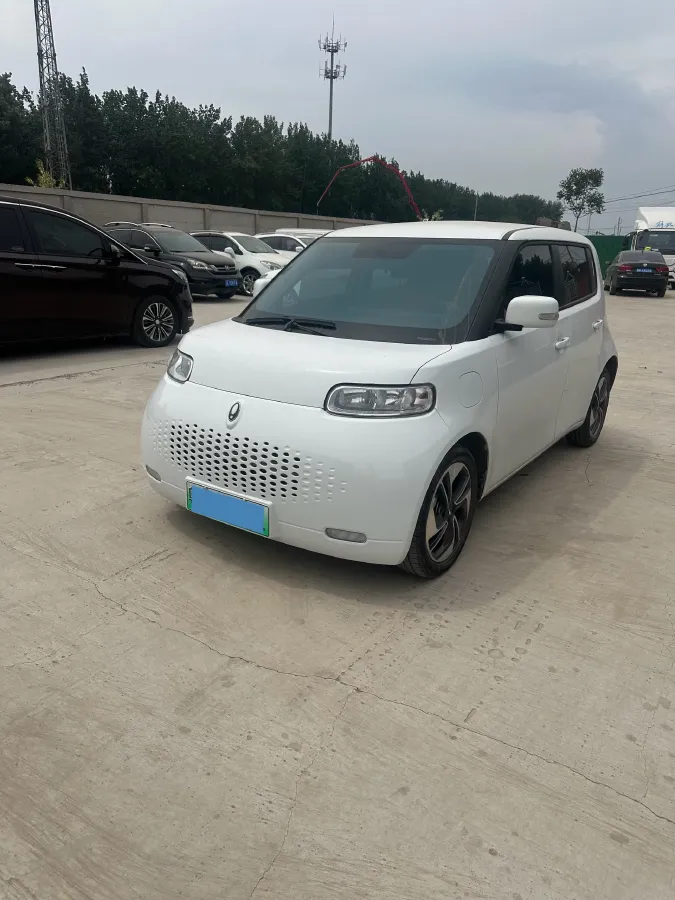 2020 Ora WhiteCat BEV 29.4KWH,autocango,china used car exporter,china ev exporter,chinese used car exporter,chinese used ev exporter