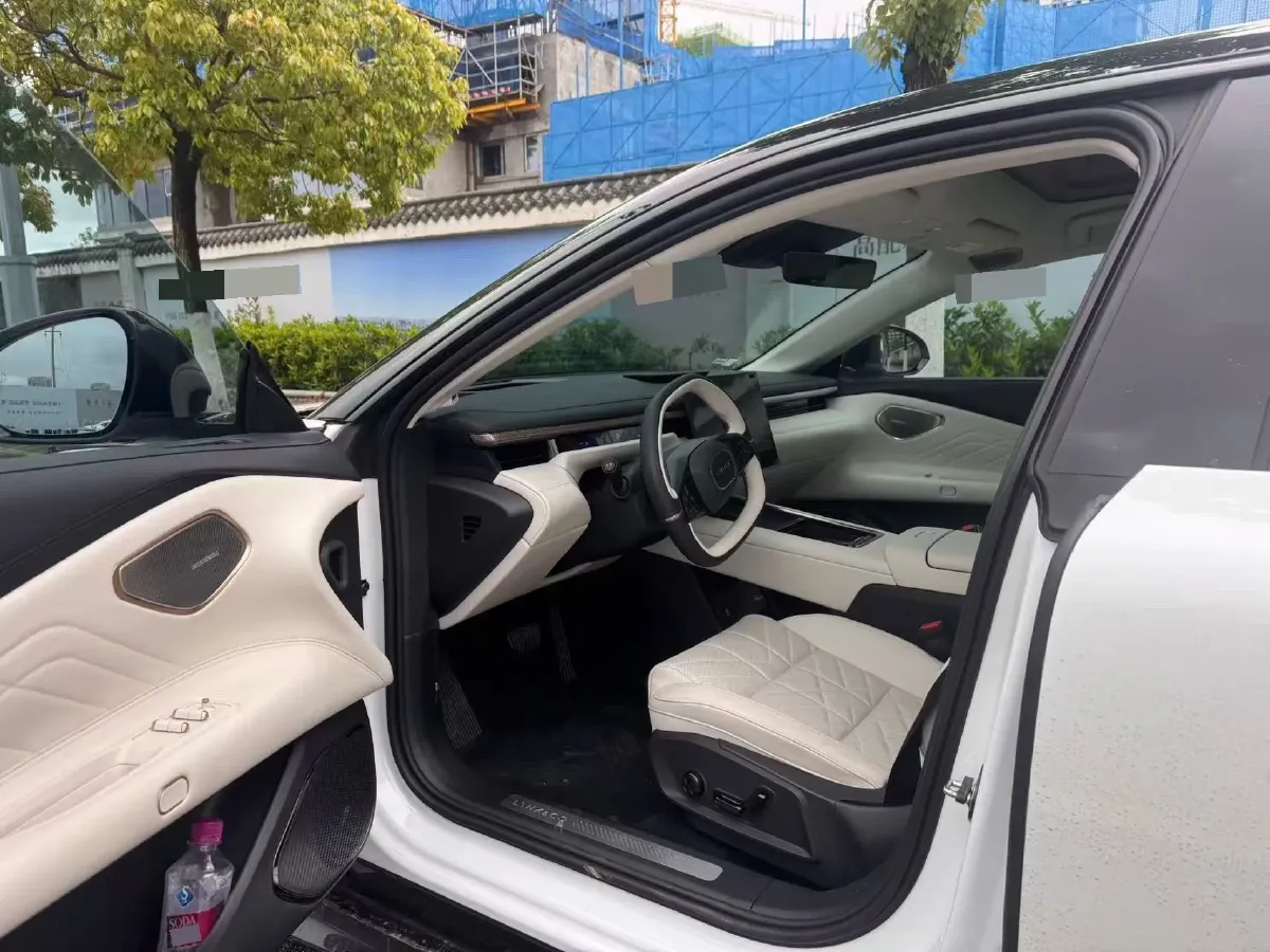 2025 LYNK&CO 10 EM-P 1.5T 163HP L4 3DHT PHEV,autocango,china used car exporter,china ev exporter,chinese used car exporter,chinese used ev exporter