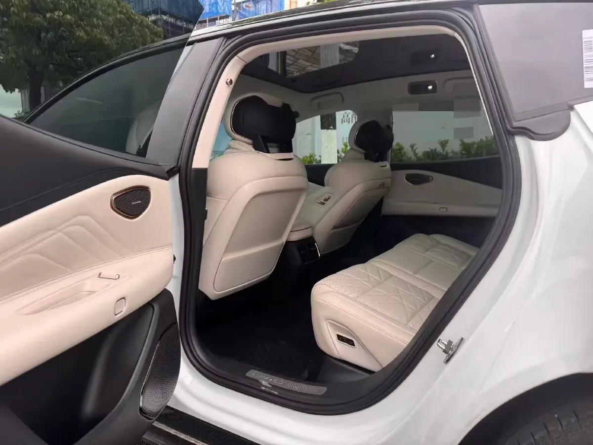 2025 LYNK&CO 10 EM-P 1.5T 163HP L4 3DHT PHEV,autocango,china used car exporter,china ev exporter,chinese used car exporter,chinese used ev exporter