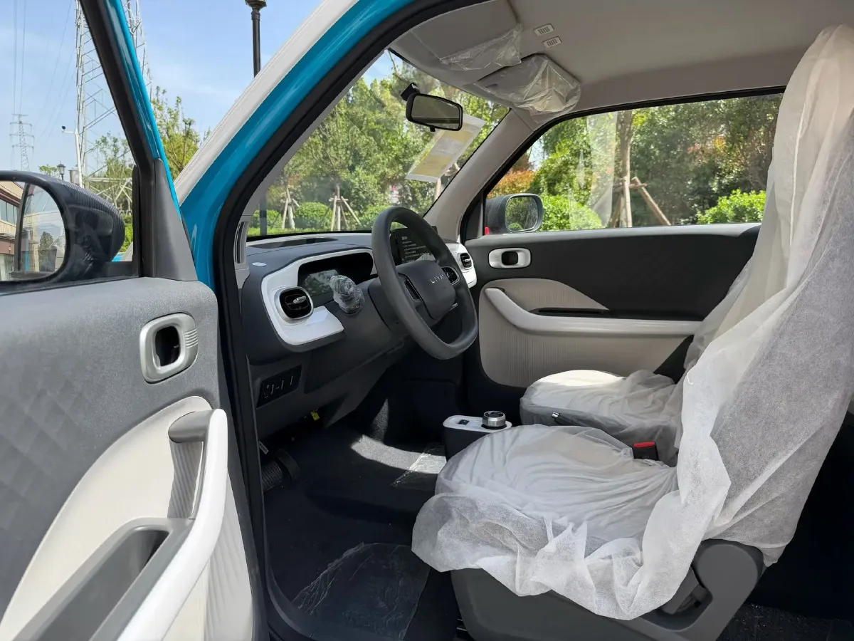 2025 Geely Lanqiqiu BEV,autocango,china used car exporter,china ev exporter,chinese used car exporter,chinese used ev exporter