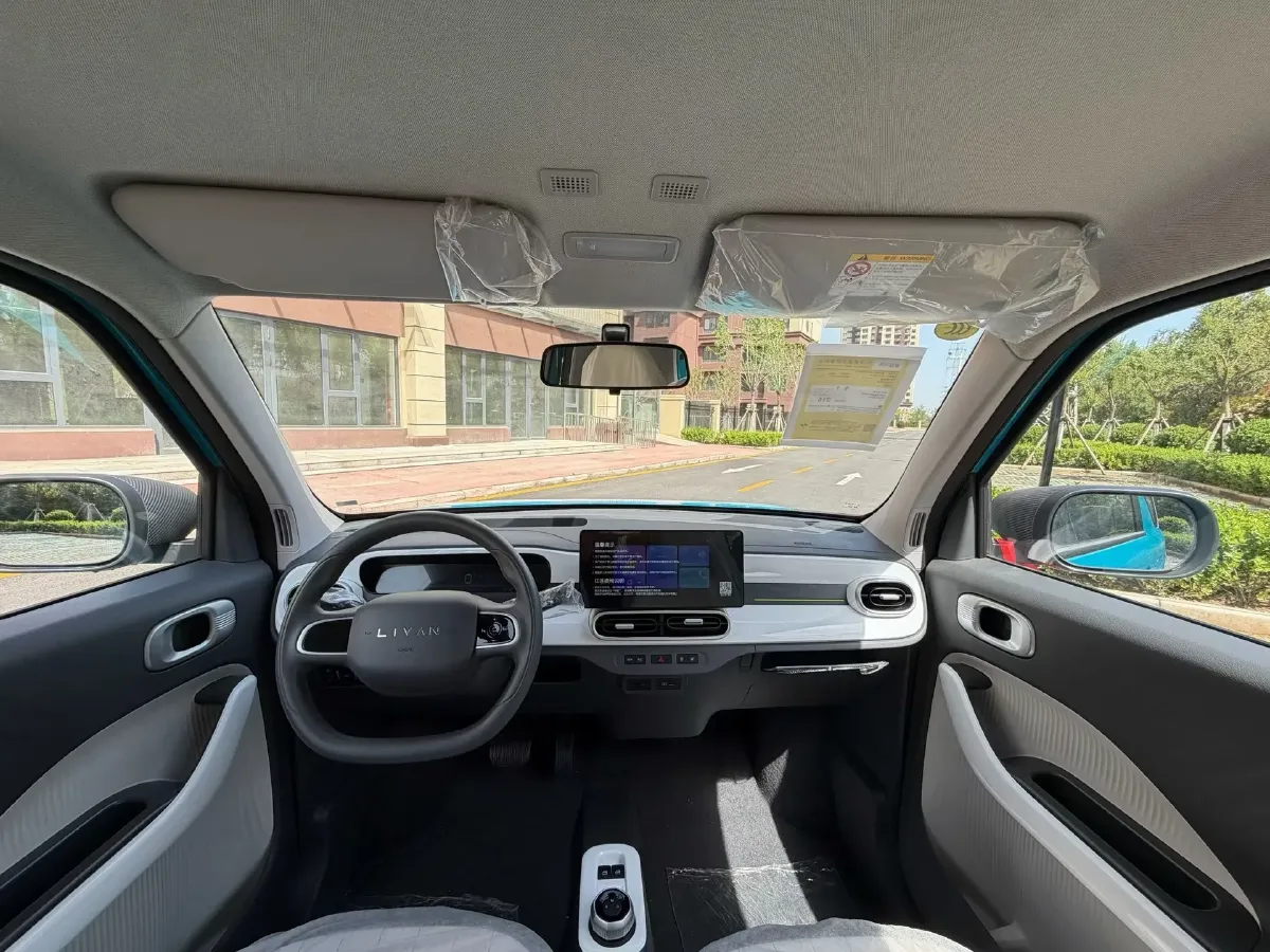 2025 Geely Lanqiqiu BEV,autocango,china used car exporter,china ev exporter,chinese used car exporter,chinese used ev exporter
