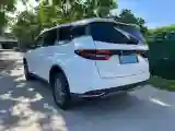 2021 Livan Maple 80v BEV 53KWH