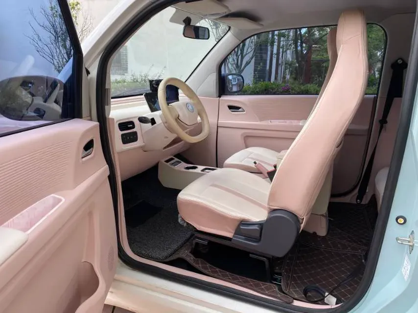2024 ZD Rainbow BEV 17.3KWH,autocango,china used car exporter,china ev exporter,chinese used car exporter,chinese used ev exporter