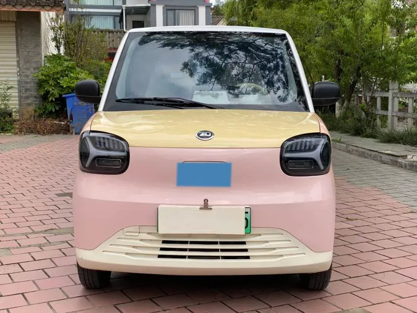 2024 ZD Rainbow BEV 17.3KWH,autocango,china used car exporter,china ev exporter,chinese used car exporter,chinese used ev exporter