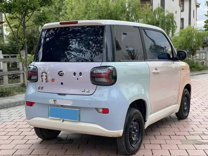 2024 ZD Rainbow BEV 17.3KWH,autocango,china used car exporter,china ev exporter,chinese used car exporter,chinese used ev exporter