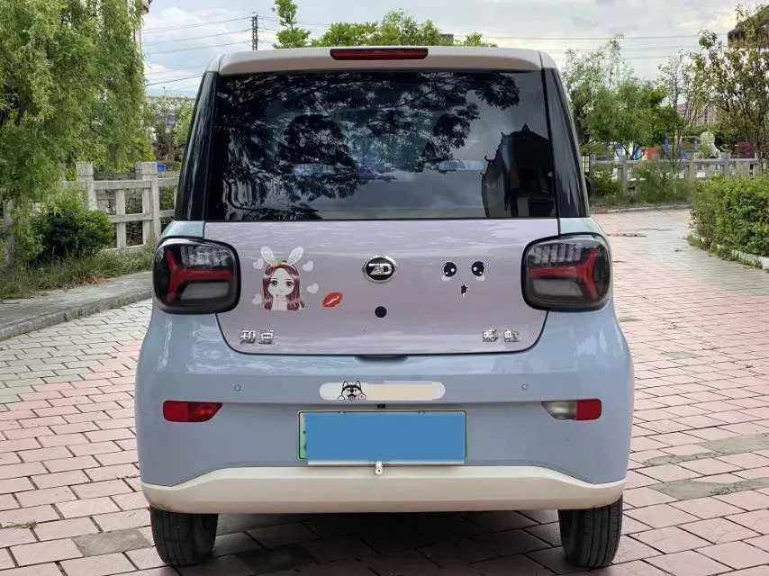 2024 ZD Rainbow BEV 17.3KWH,autocango,china used car exporter,china ev exporter,chinese used car exporter,chinese used ev exporter