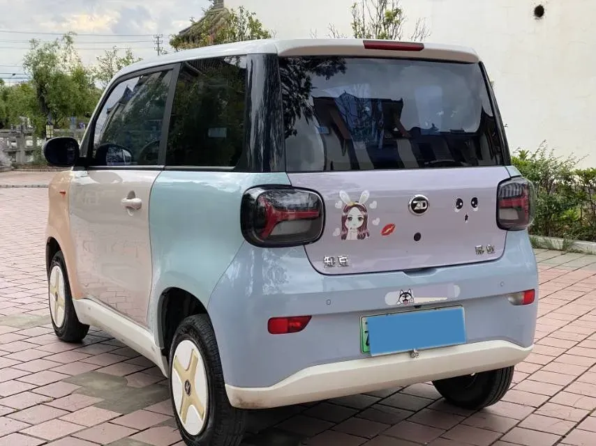 2024 ZD Rainbow BEV 17.3KWH,autocango,china used car exporter,china ev exporter,chinese used car exporter,chinese used ev exporter
