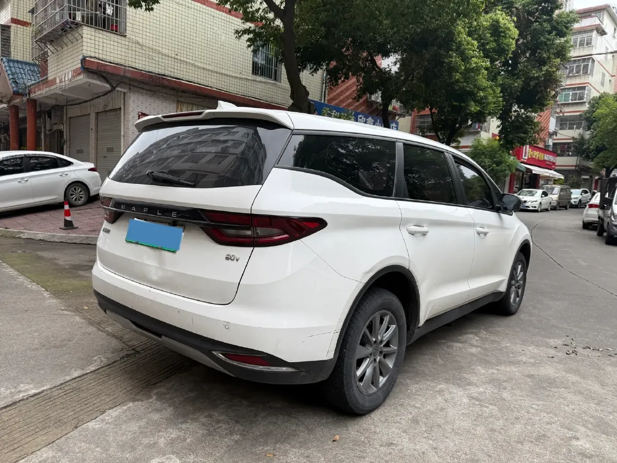 2021 Livan Maple 80v BEV 53KWH,autocango,china used car exporter,china ev exporter,chinese used car exporter,chinese used ev exporter
