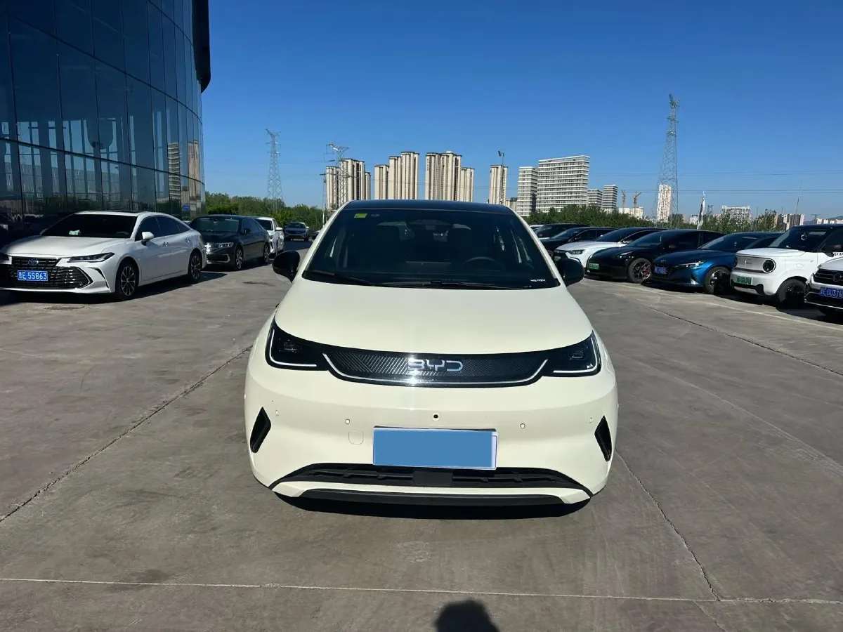 2025 BYD Dolphin BEV 45.12KWH,autocango,china used car exporter,china ev exporter,chinese used car exporter,chinese used ev exporter