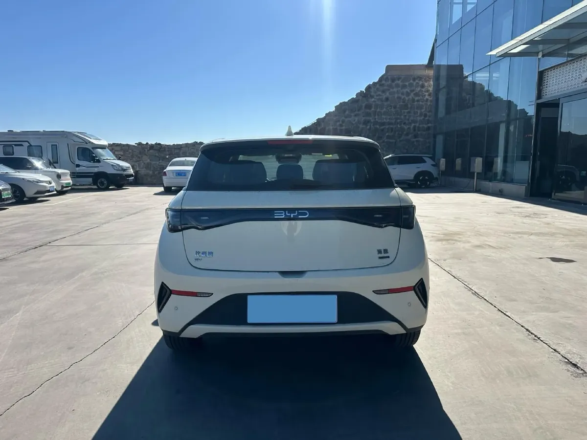 2025 BYD Dolphin BEV 45.12KWH,autocango,china used car exporter,china ev exporter,chinese used car exporter,chinese used ev exporter