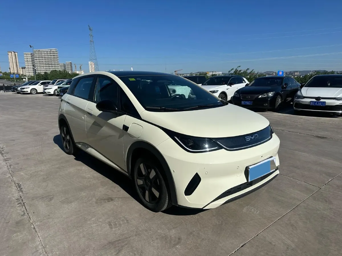 2025 BYD Dolphin BEV 45.12KWH,autocango,china used car exporter,china ev exporter,chinese used car exporter,chinese used ev exporter
