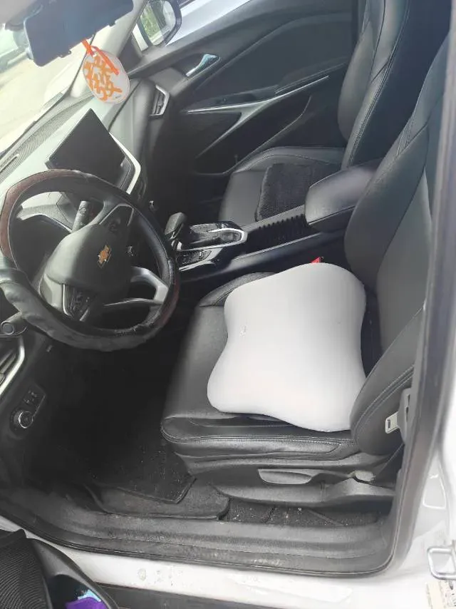 2022 Bestune T99 2.0T 224HP L4 6AT,autocango,china used car exporter,china ev exporter,chinese used car exporter,chinese used ev exporter