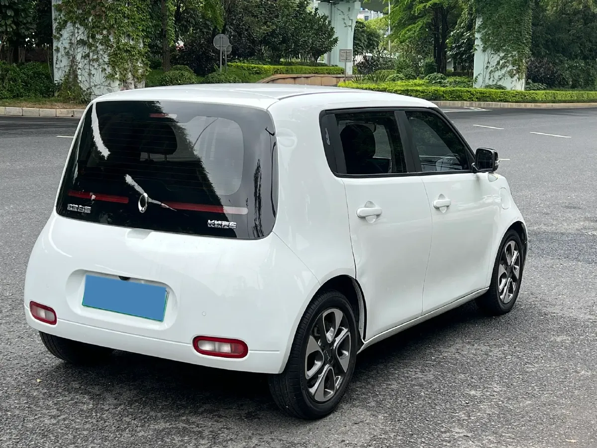 2020 Ora WhiteCat BEV 36KWH,autocango,china used car exporter,china ev exporter,chinese used car exporter,chinese used ev exporter