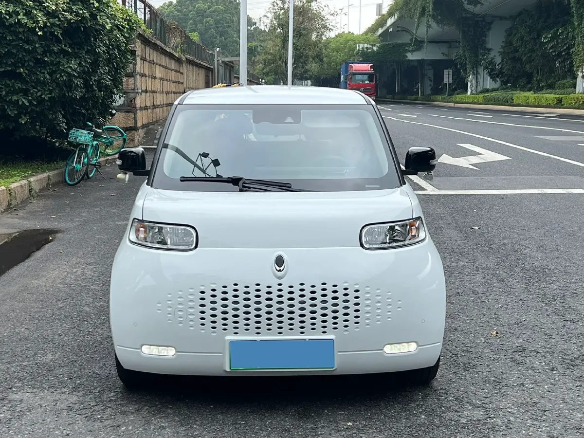 2020 Ora WhiteCat BEV 36KWH,autocango,china used car exporter,china ev exporter,chinese used car exporter,chinese used ev exporter
