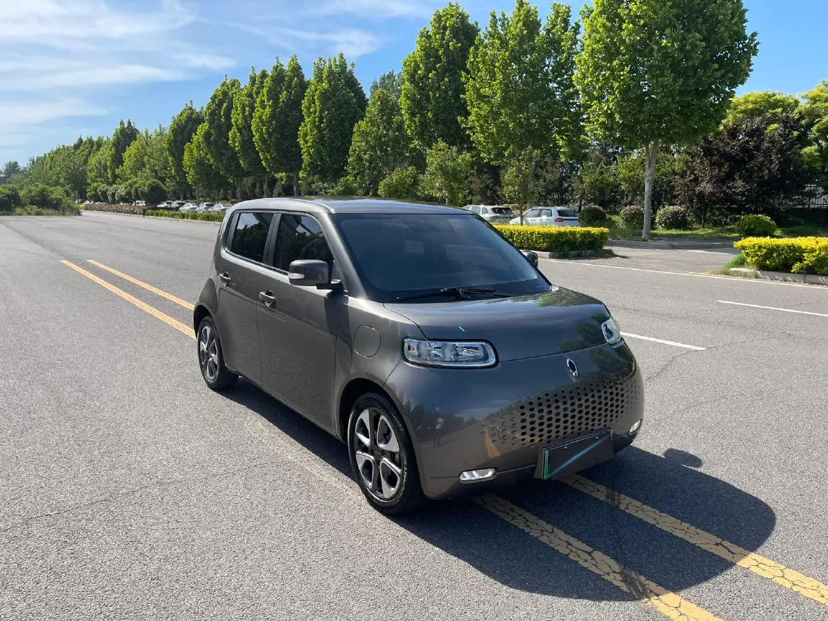 2020 Ora WhiteCat BEV 29.4KWH,autocango,china used car exporter,china ev exporter,chinese used car exporter,chinese used ev exporter