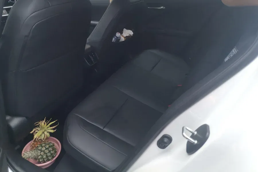 2022 Lexus UX 2.0L 146HP L4 E-CVT Hybrid,autocango,china used car exporter,china ev exporter,chinese used car exporter,chinese used ev exporter