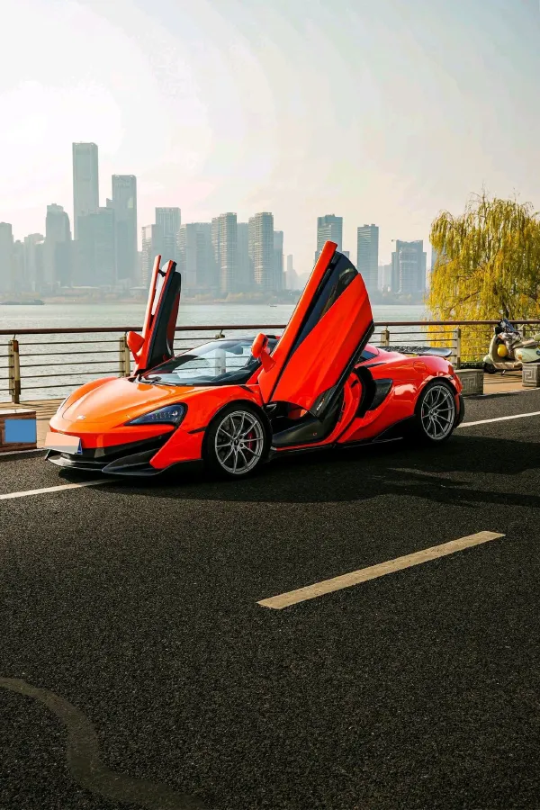 2019 McLaren 600LT 3.8T 600HP V8 7DCT,autocango,china used car exporter,china ev exporter,chinese used car exporter,chinese used ev exporter