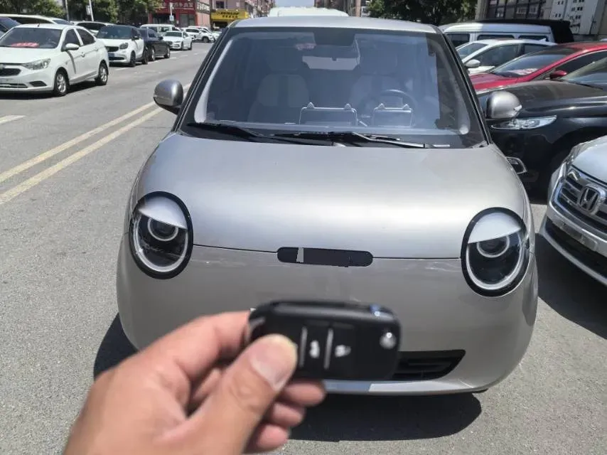 2022 Levdeo Mango BEV 17.28KWH,autocango,china used car exporter,china ev exporter,chinese used car exporter,chinese used ev exporter