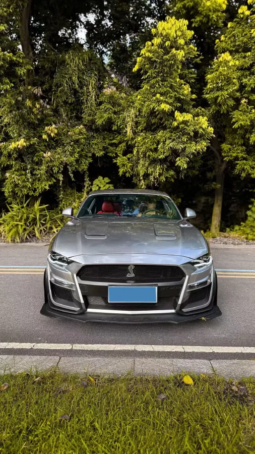2018 Yema T80 2.0T 204HP L4 6DCT,autocango,china used car exporter,china ev exporter,chinese used car exporter,chinese used ev exporter
