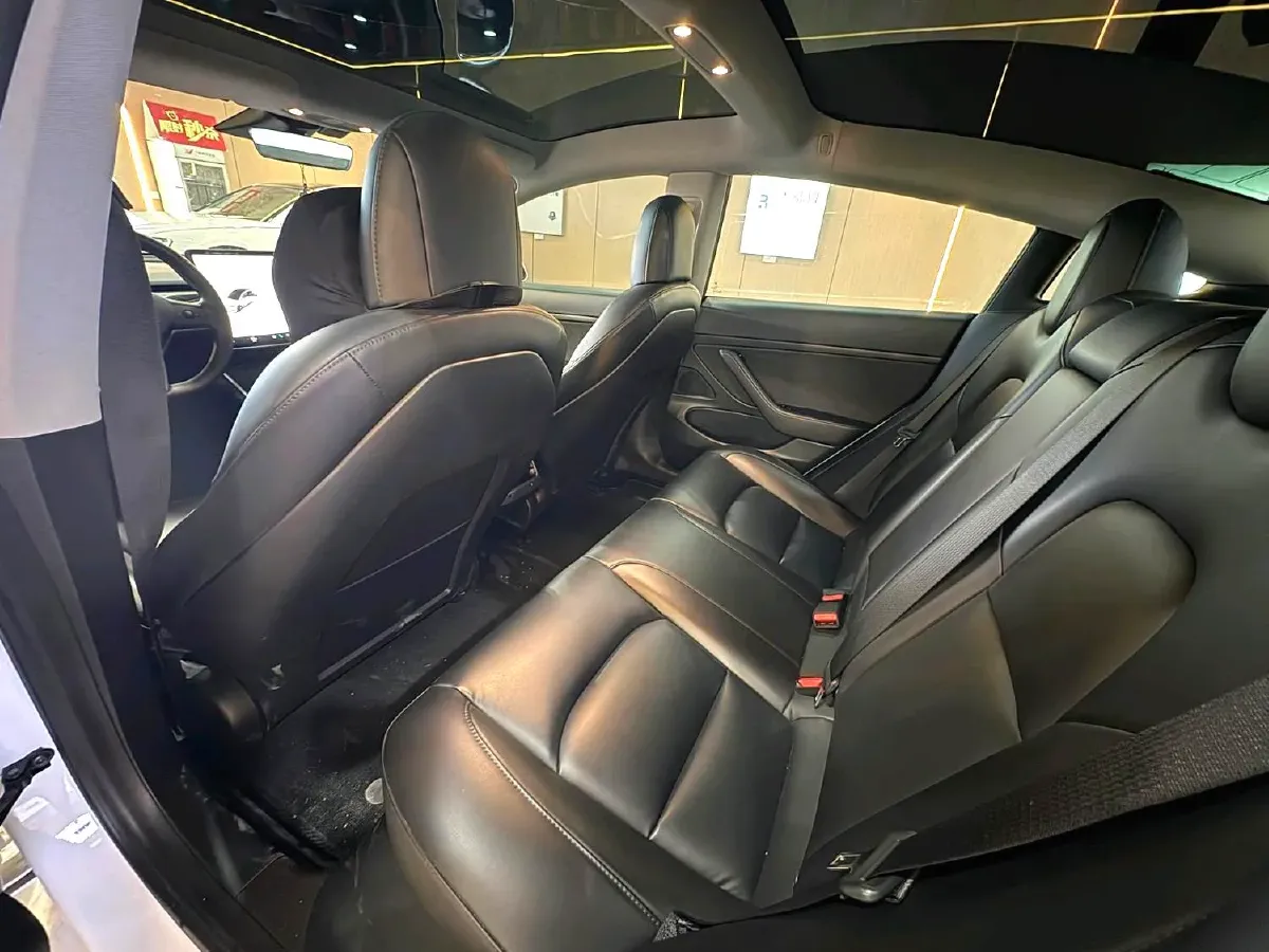 2020 Tesla Model 3 BEV 52KWH,autocango,china used car exporter,china ev exporter,chinese used car exporter,chinese used ev exporter