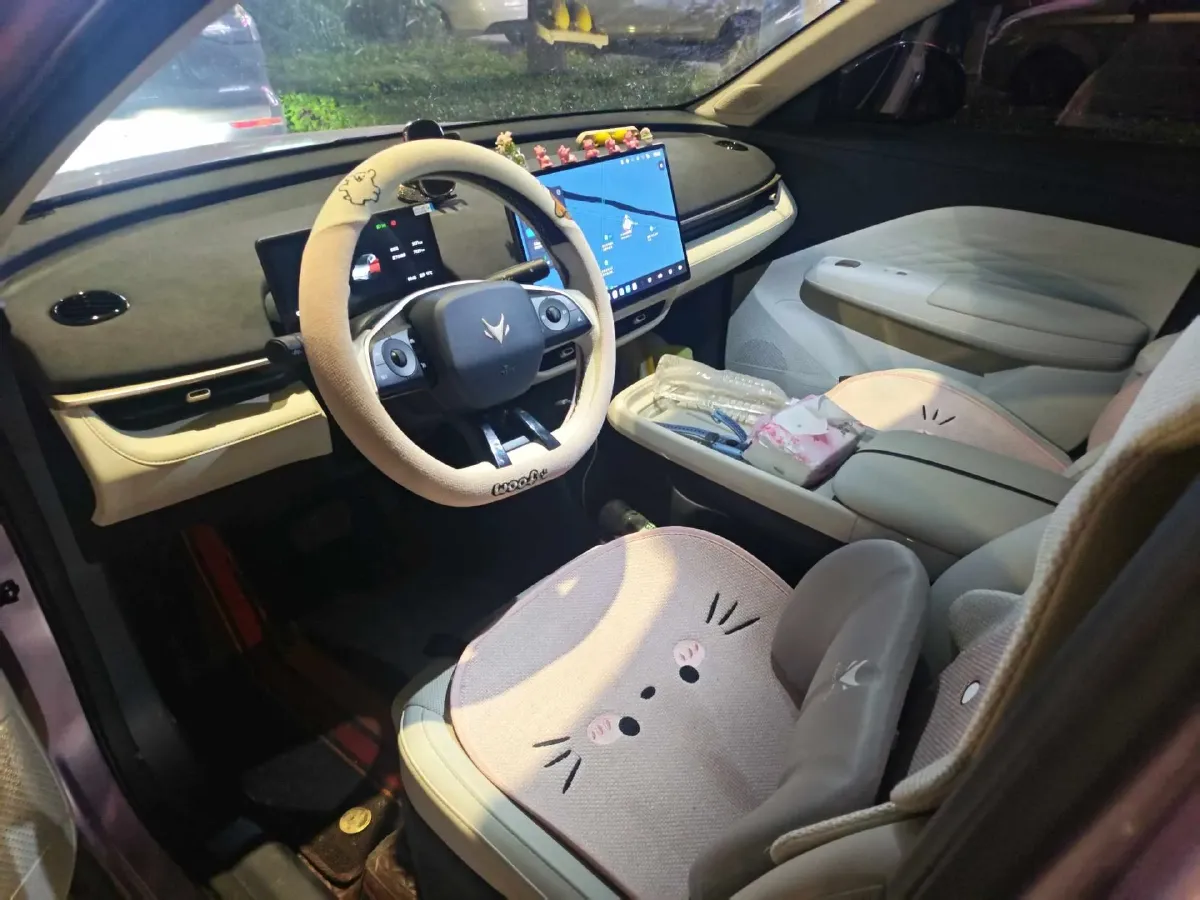 2025 ARCFOX T1 BEV,autocango,china used car exporter,china ev exporter,chinese used car exporter,chinese used ev exporter