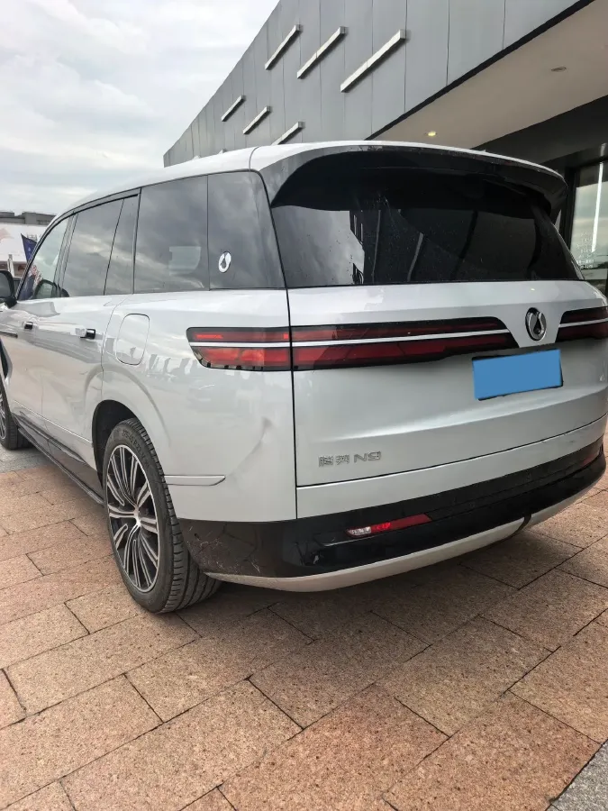 2025 Denza DenzaN9 2.0T 207HP L4 E-CVT PHEV,autocango,china used car exporter,china ev exporter,chinese used car exporter,chinese used ev exporter