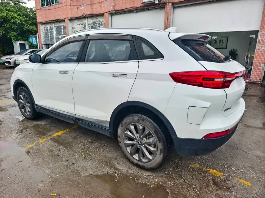 2020 Weltmeister EX5 BEV,autocango,china used car exporter,china ev exporter,chinese used car exporter,chinese used ev exporter