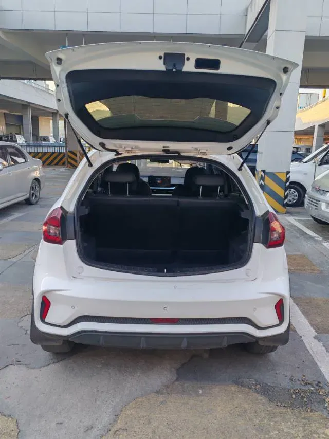 2021 Geometry EX3 BEV 37.23KWH,autocango,china used car exporter,china ev exporter,chinese used car exporter,chinese used ev exporter
