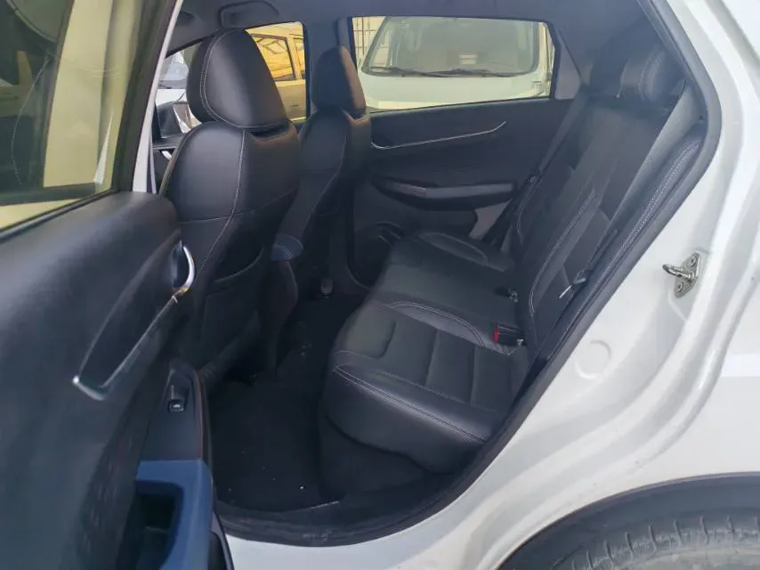 2021 Geometry EX3 BEV 37.23KWH,autocango,china used car exporter,china ev exporter,chinese used car exporter,chinese used ev exporter