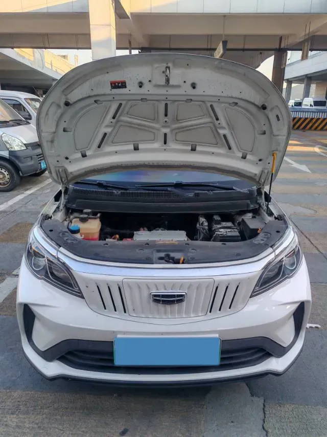2021 Geometry EX3 BEV 37.23KWH,autocango,china used car exporter,china ev exporter,chinese used car exporter,chinese used ev exporter