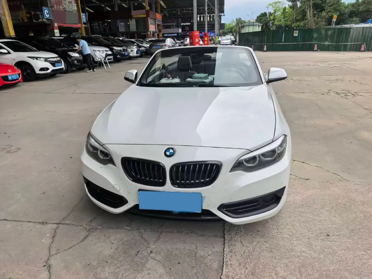 2019 BMW 2 Series 2.0T 184HP L4 8AT,autocango,china used car exporter,china ev exporter,chinese used car exporter,chinese used ev exporter