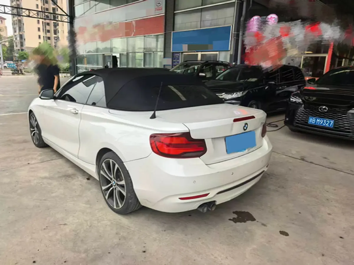 2019 BMW 2 Series 2.0T 184HP L4 8AT,autocango,china used car exporter,china ev exporter,chinese used car exporter,chinese used ev exporter