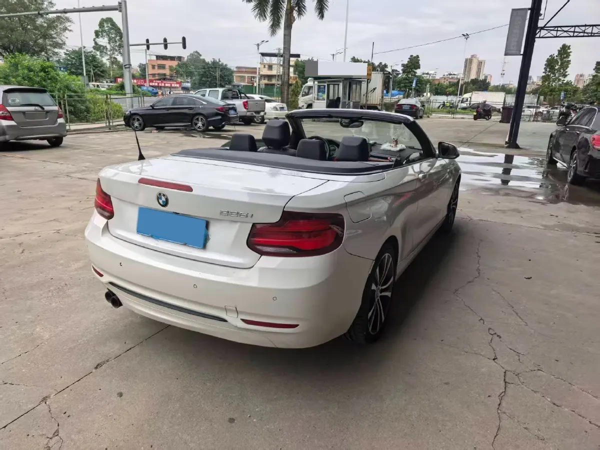 2019 BMW 2 Series 2.0T 184HP L4 8AT,autocango,china used car exporter,china ev exporter,chinese used car exporter,chinese used ev exporter