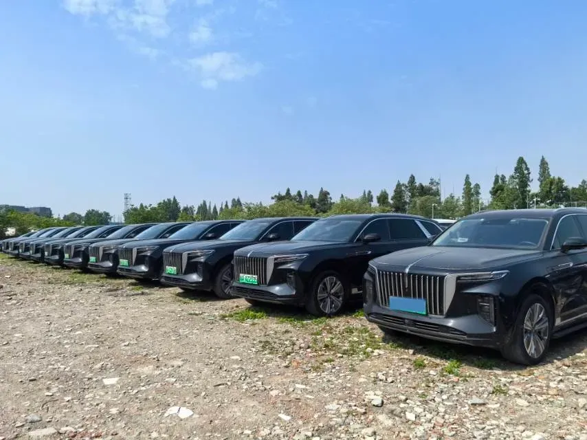 2022 HongQi E-HS9 BEV 120KWH,autocango,china used car exporter,china ev exporter,chinese used car exporter,chinese used ev exporter