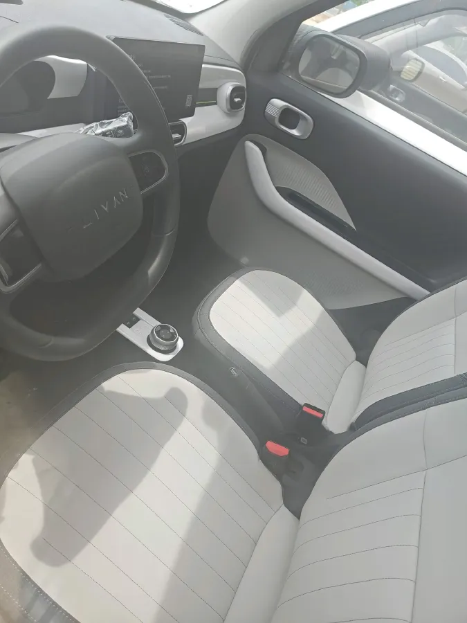 2025 Geely Lanqiqiu BEV,autocango,china used car exporter,china ev exporter,chinese used car exporter,chinese used ev exporter